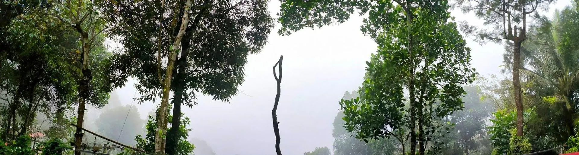 Homestay Gmsquare Apartment Thekkady