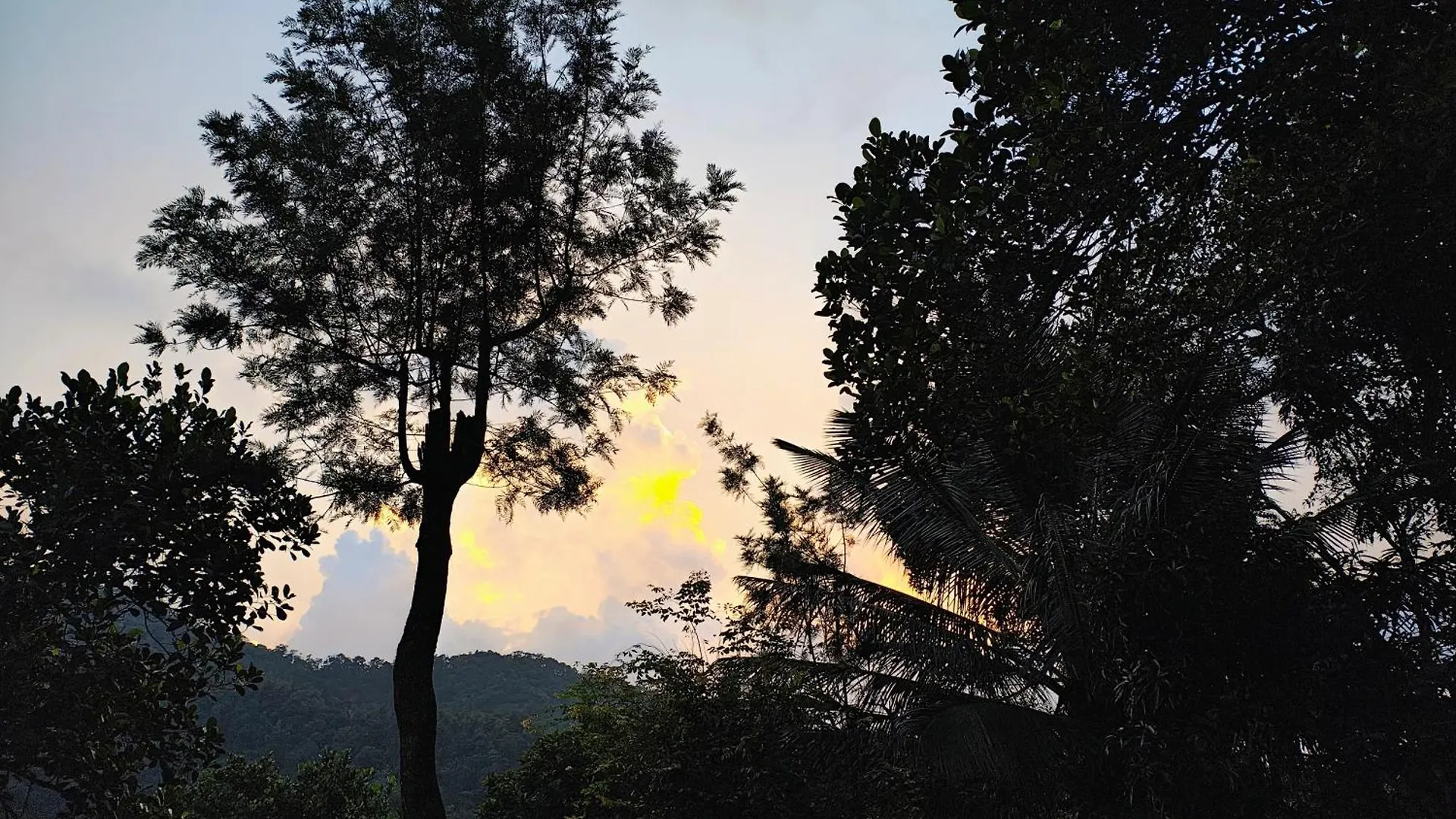 Gmsquare Apartment Thekkady India